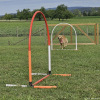 2023_hundeplus_nadac_7e7e5a1c-cc5f-4849-8865-78ccc8eeb27e
