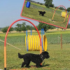 2023_hundeplus_nadac_IMG_2917