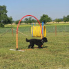 2023_hundeplus_nadac_a47c5975-eedd-4e48-be64-1a6ad823f7f0