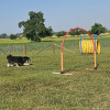 2023_hundeplus_nadac_d430621b-a496-4788-b9f3-39fad511c010