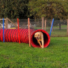 2023_hundeplus_nadac_d4c8948d-4499-47a8-af74-9890cbfa0e55