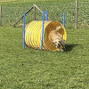 2023_hundeplus_nadac_e096f7a9-d787-4001-9516-58773e6f3838