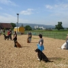 2008_Allwetterplatz_DSC02376