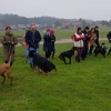 2020_hundeplus_apero_IMG_3488