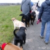 2007_neujahrsspaziergang_HPIM0143