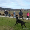 2008_neujahrsspaziergang_DSC01852