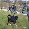 2008_neujahrsspaziergang_DSC01853