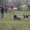 2008_neujahrsspaziergang_DSC01855