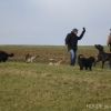 2008_neujahrsspaziergang_DSC01857