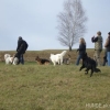 2008_neujahrsspaziergang_DSC01858