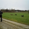 2012_Neujahrsspaziergang_DSCN2086