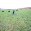 2012_Neujahrsspaziergang_DSCN2134