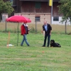 2015_plauschturnier_Plauschturnier_hundeplus_aug_2015_006