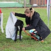 2015_plauschturnier_Plauschturnier_hundeplus_aug_2015_011