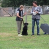 2015_plauschturnier_Plauschturnier_hundeplus_aug_2015_070