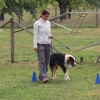 2015_plauschturnier_Plauschturnier_hundeplus_aug_2015_103