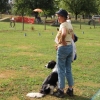 2015_plauschturnier_Plauschturnier_hundeplus_aug_2015_108