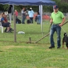 2015_plauschturnier_Plauschturnier_hundeplus_aug_2015_125