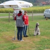 2015_plauschturnier_Plauschturnier_hundeplus_aug_2015_128