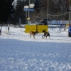 2008_sozialverhalten_DSC00080