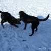 2008_sozialverhalten_DSC00116
