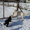 2008_sozialverhalten_DSC00121