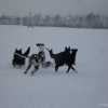 2008_sozialverhalten_DSC03372