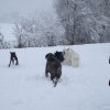 2008_sozialverhalten_DSC03408