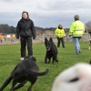2008_sozialverhalten__WUS0530