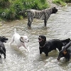 2008_sozialverhalten_gemischte_Gruppe_Wasser