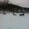 2012_resozialisierung_IMG_1877
