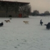 2012_resozialisierung_IMG_1882