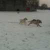 2012_resozialisierung_IMG_1883