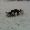2012_resozialisierung_IMG_1884