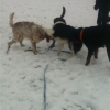 2012_resozialisierung_IMG_1894
