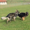 2017_resozialisierung_IMG_2038