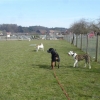 2010_schnappschuesse_DSC05752
