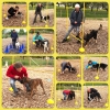 2019-06_hundeplus_Monatsbild_Juni_IMG_5660