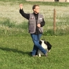 2019_hundeplus_schnappschuesse_IMG_1909