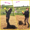 2019_hundeplus_schnappschuesse_IMG_5636