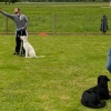 2020_hundeplus_schnappschuesse_IMG_4719