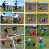 2023-03_hundeplus_BilddesMonats_IMG_3106