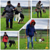 2023-05_hundeplus_BilddesMonats_IMG_8130