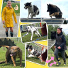 2023-07_hundeplus_BilddesMonats_IMG_3186