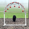 2023_hundeplus_schnappschuesse_0591df49-8098-4f17-82b4-1d608ac80939