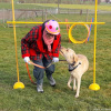 2023_hundeplus_schnappschuesse_0ce71869-8b08-45b5-ba2f-e9715a0e43d4