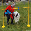 2023_hundeplus_schnappschuesse_0f85ce79-dacd-441f-a70a-b5036b57843b