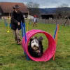 2023_hundeplus_schnappschuesse_1aca5f79-bc4e-4934-91e0-5d87effc8745