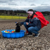 2023_hundeplus_schnappschuesse_36a01f93-9716-402d-a325-9acb93e3a15f