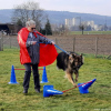 2023_hundeplus_schnappschuesse_37244f95-41c9-40e1-b08d-fecdfeee7882